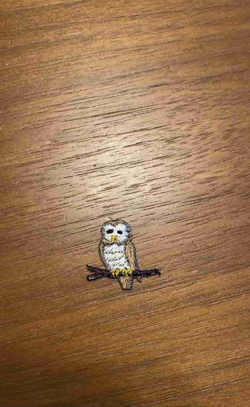 スマホに保存している一番新しい画像を見せてください