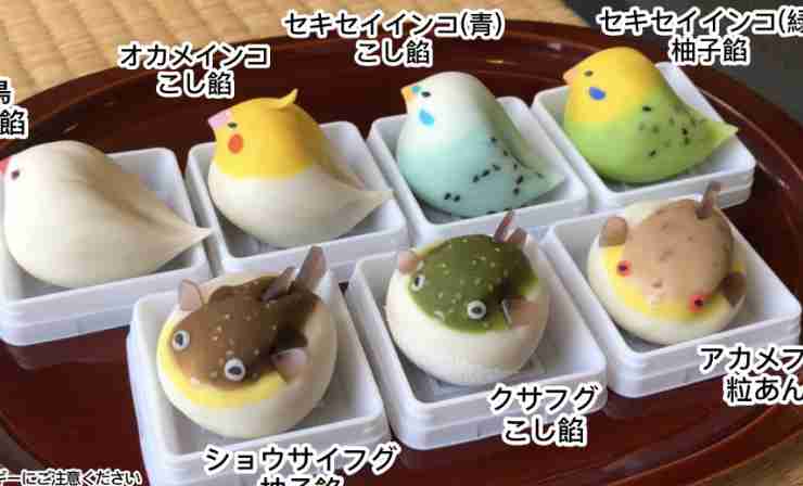 スマホに保存している一番新しい画像を見せてください