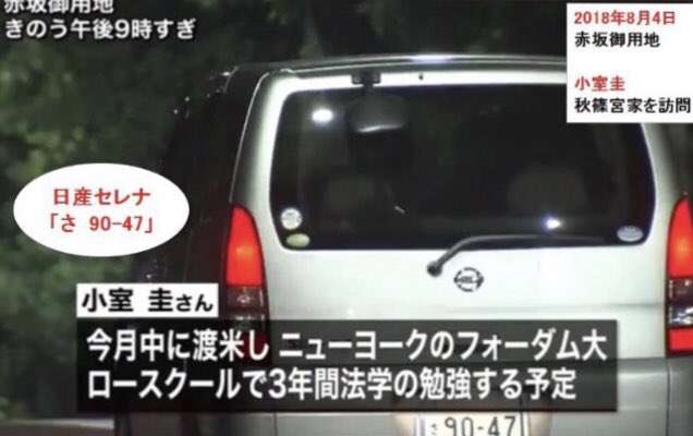 スマホに保存している一番新しい画像を見せてください