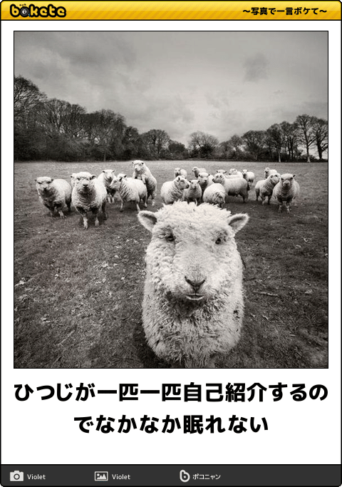スマホに保存している一番新しい画像を見せてください