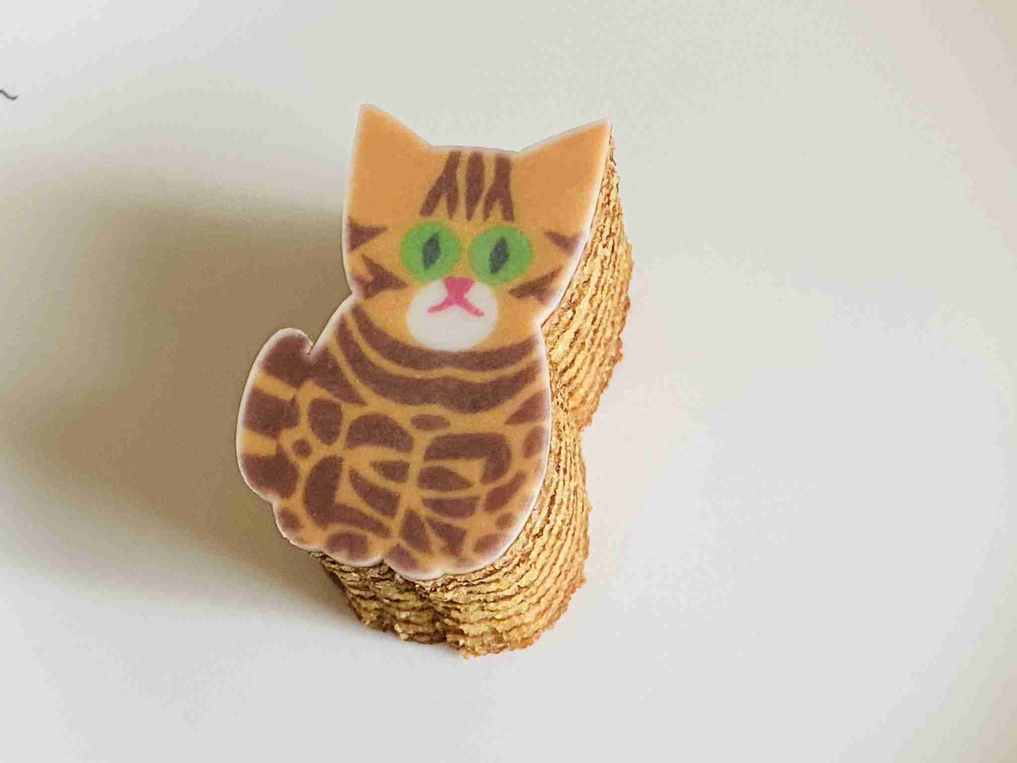 スマホに保存している一番新しい画像を見せてください