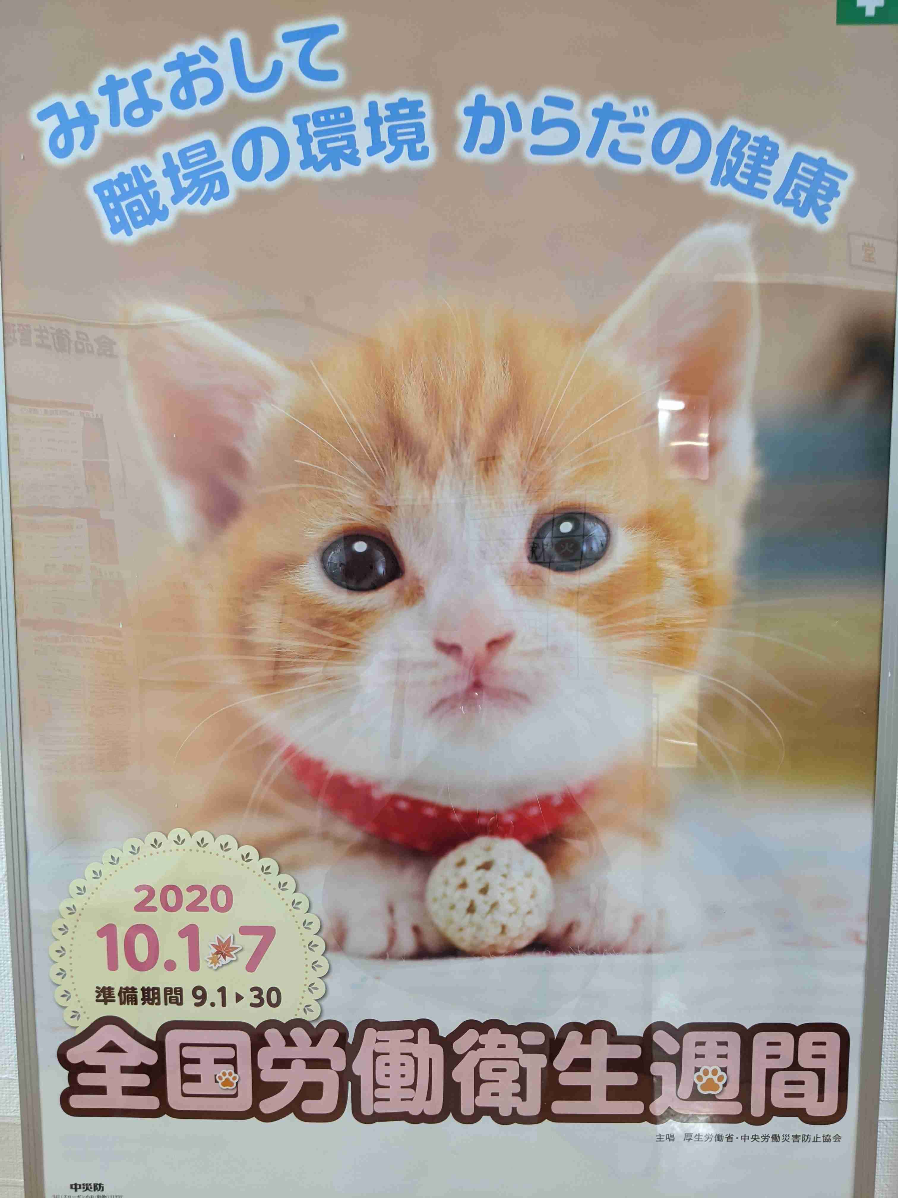 スマホに保存している一番新しい画像を見せてください