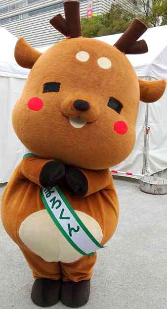 スマホに保存している一番新しい画像を見せてください