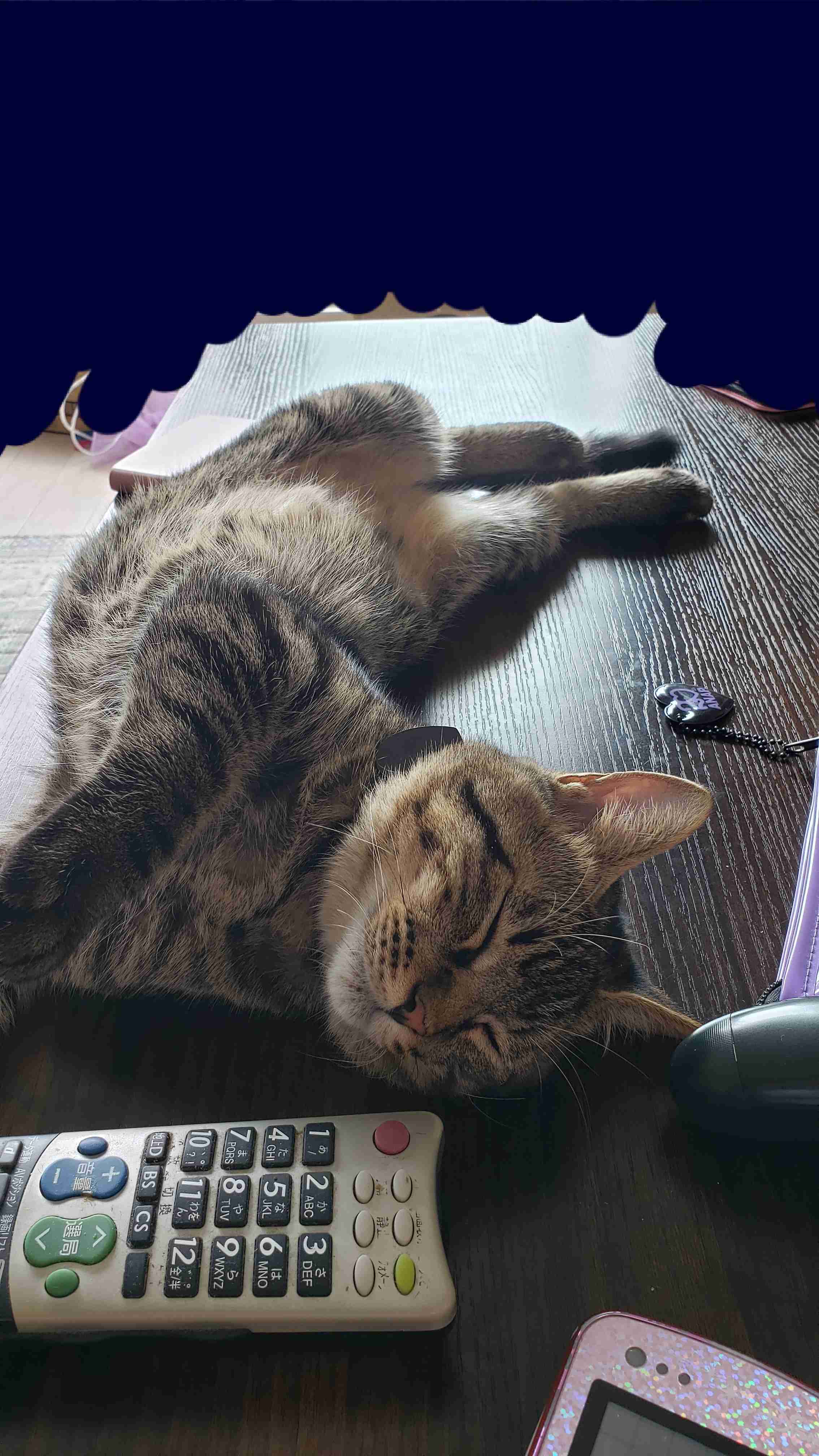 スマホに保存している一番新しい画像を見せてください