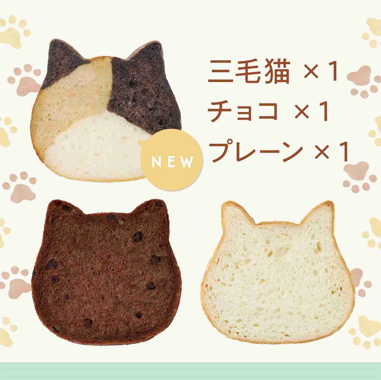スマホに保存している一番新しい画像を見せてください
