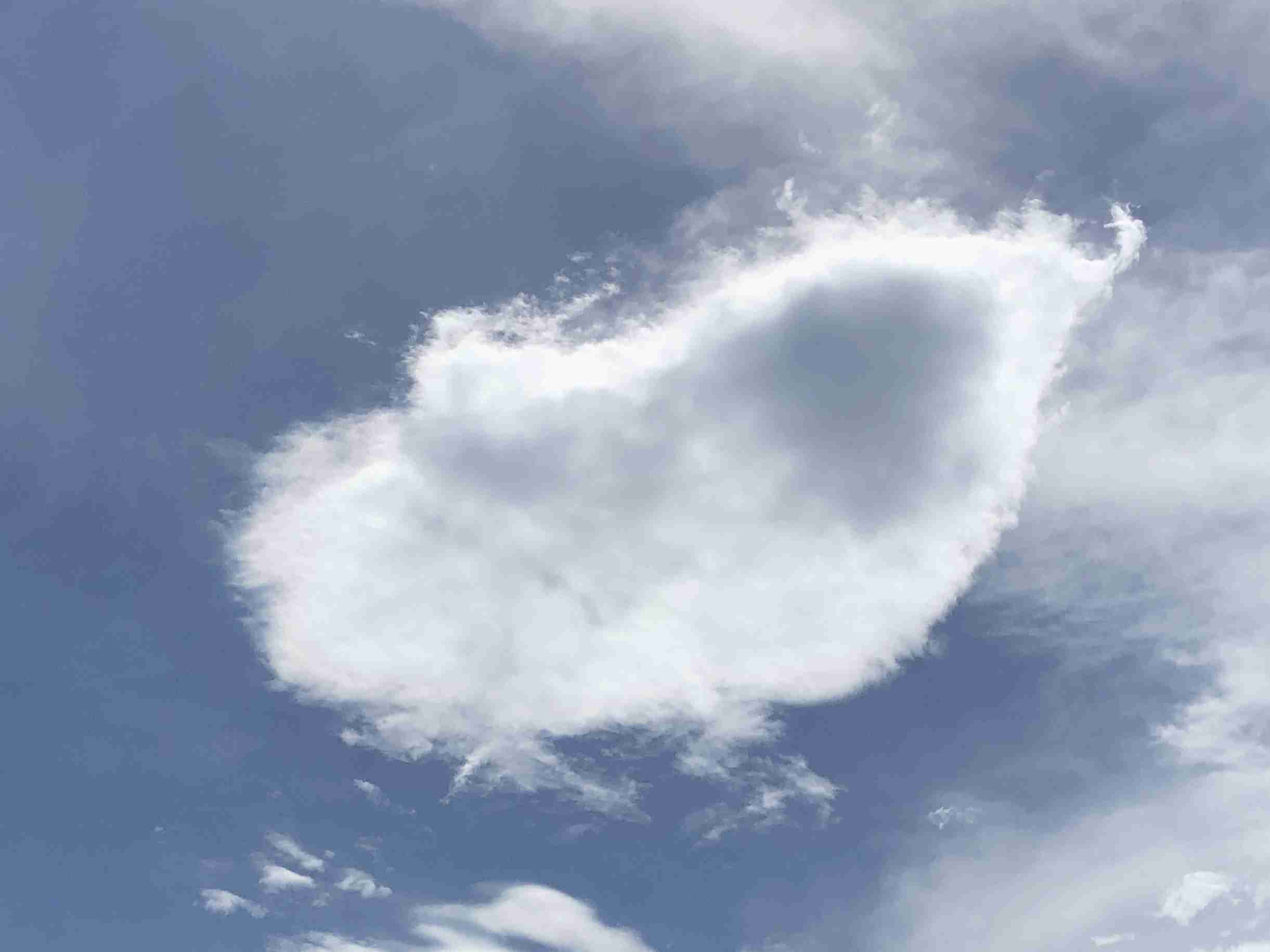 スマホに保存している一番新しい画像を見せてください