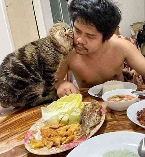 「猫に夫を奪われました」そう語る妻の嘆きを証拠写真と共にご覧ください
