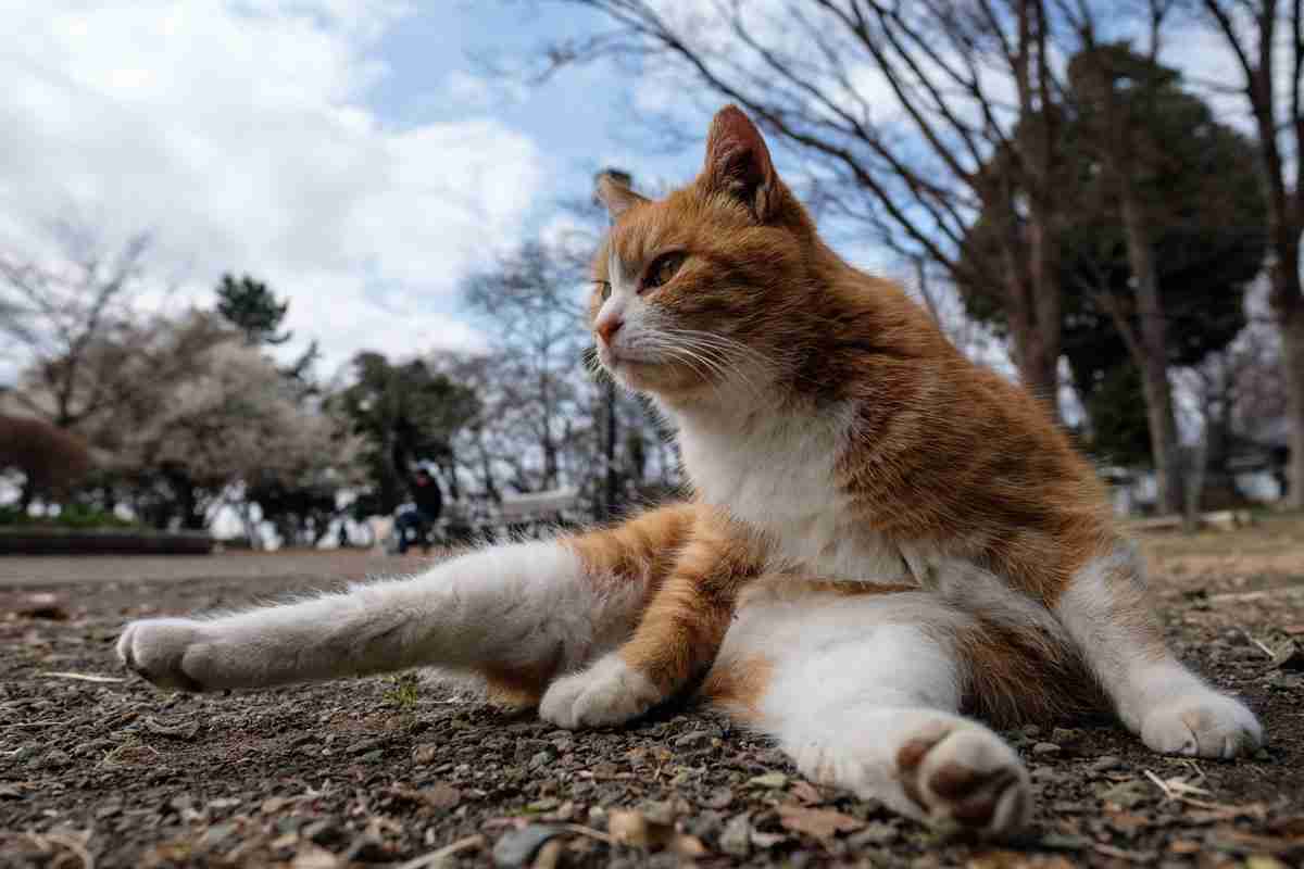 なんだかよくわからんポーズを撮ってるイケメンが見たい