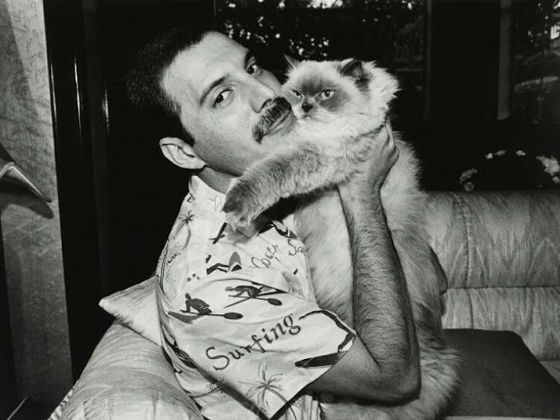 【Queen】フレディ・マーキュリーを語りたい【9月5日生誕祭】