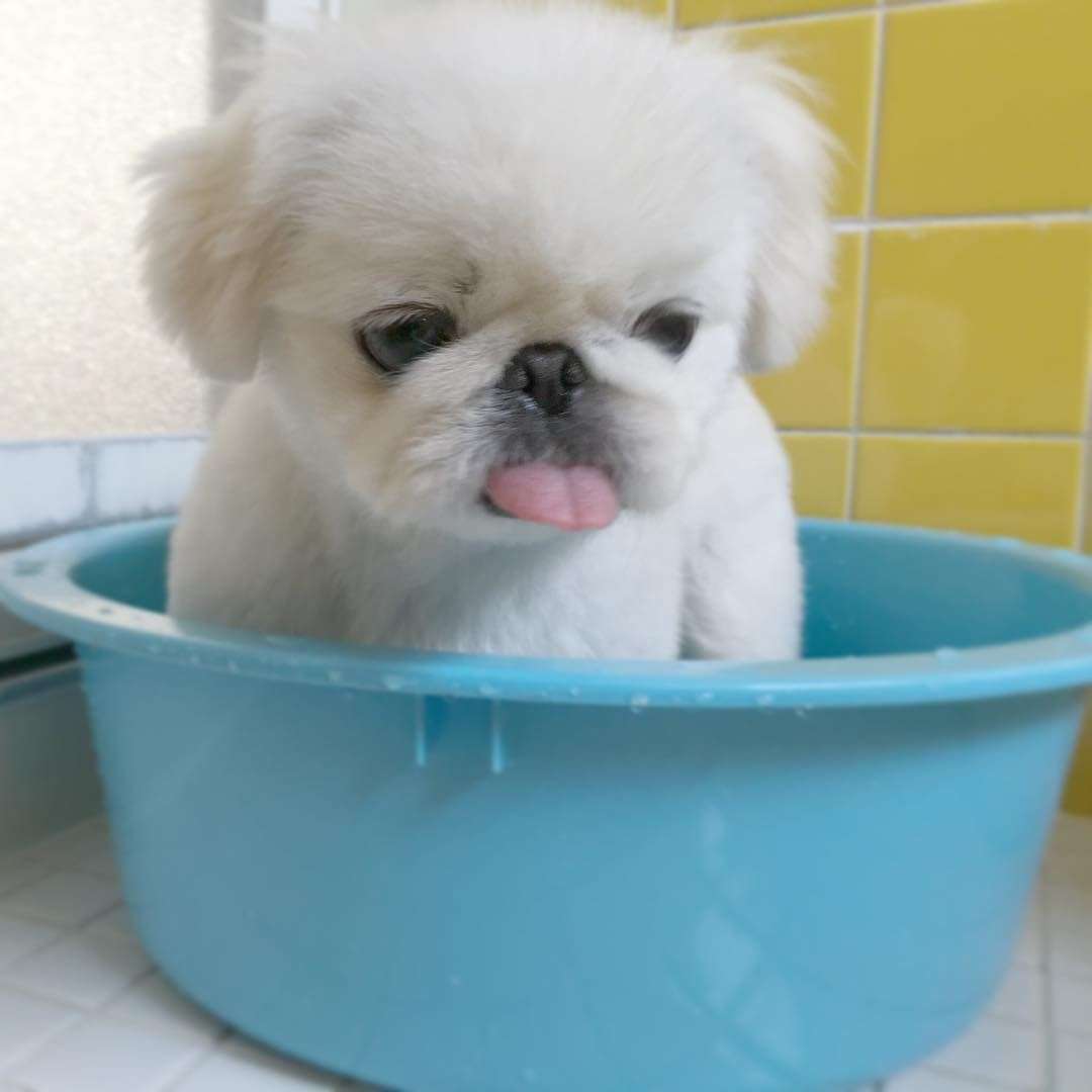 冷たい方が好き