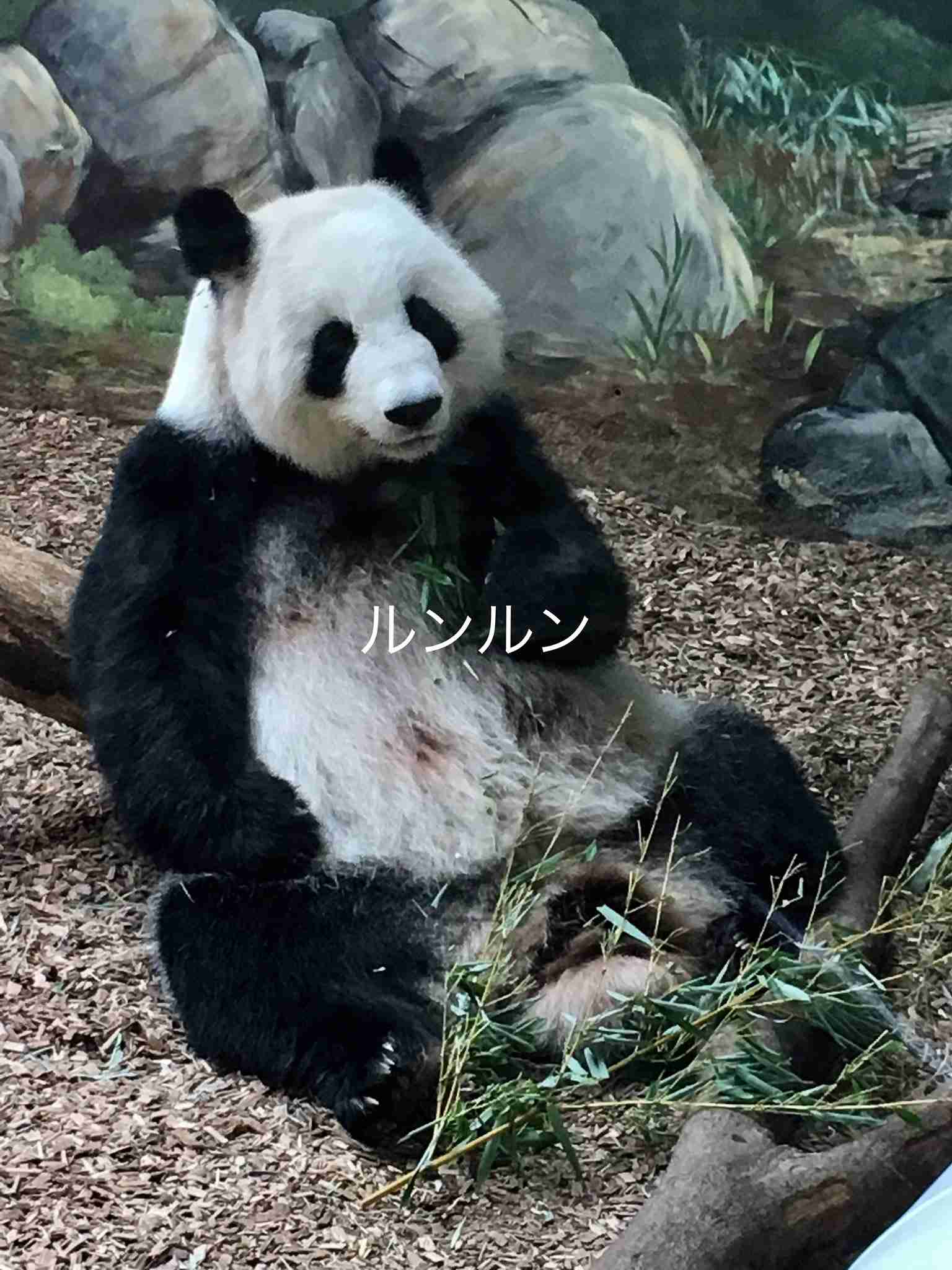 ネットでおばちゃんぽいと思われがちな文体～Part４～