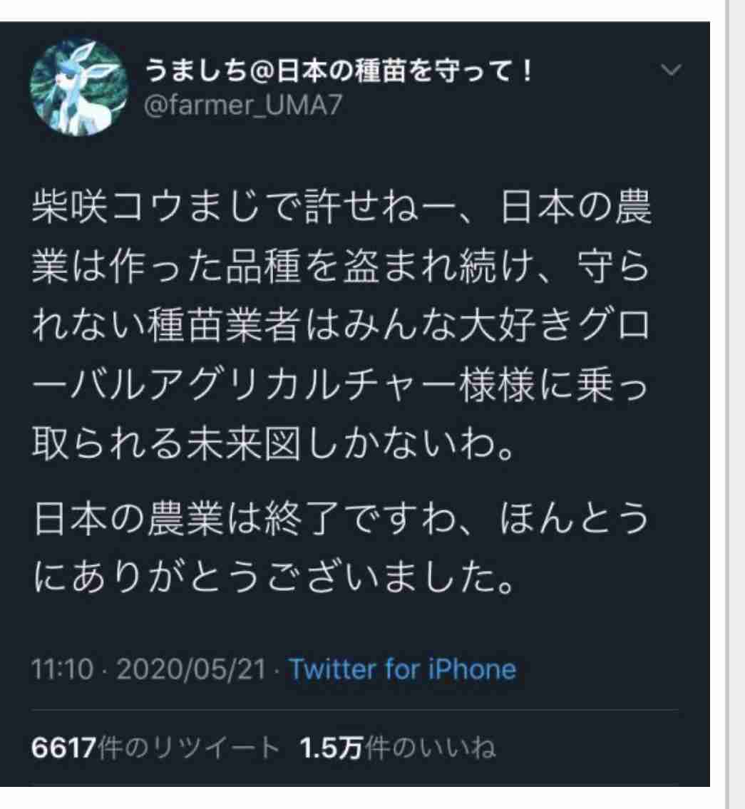 芸能人の政治的発言