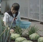 保育園児育てたジャガイモとニンジン 収穫間近に盗まれる 野菜泥棒相次ぐ