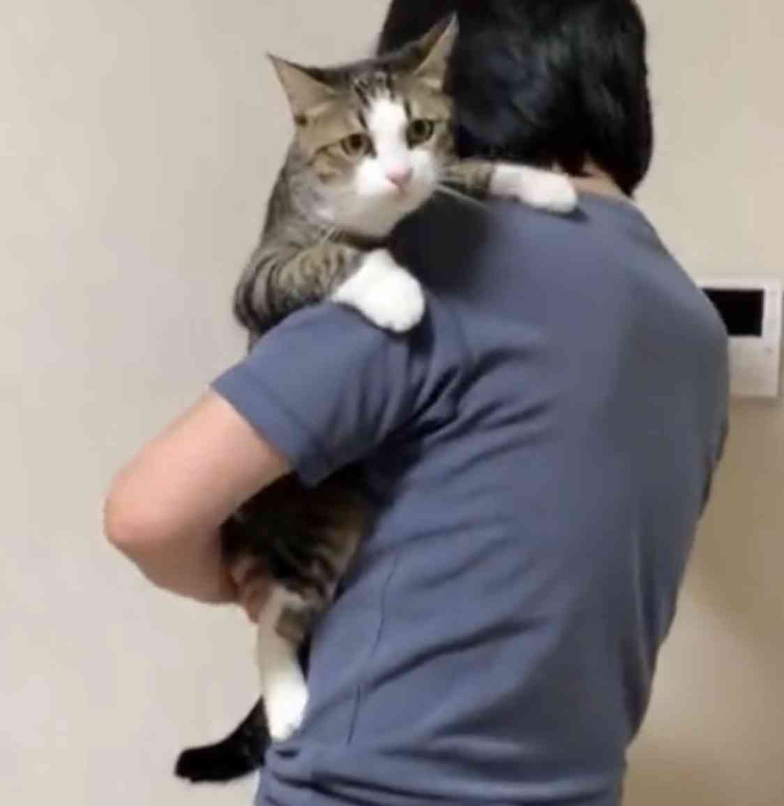 父親に甘えられなかった人