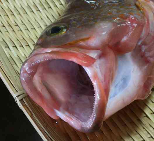 寝ている時のよだれ問題
