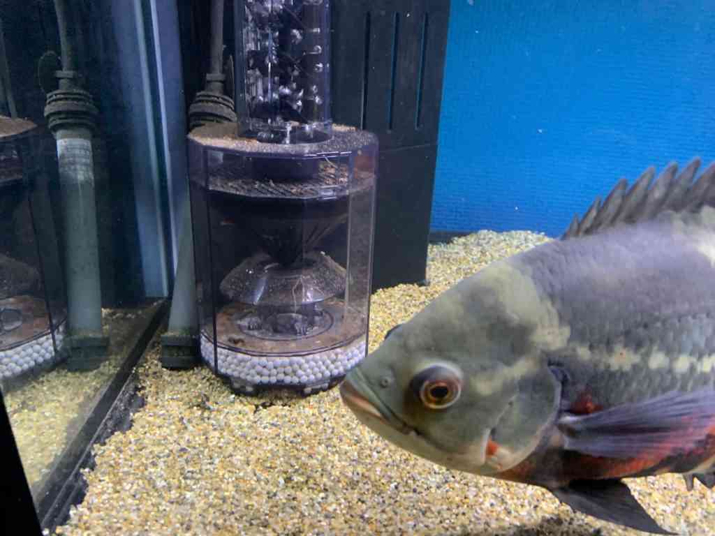 心の声が聞こえそうな画像を貼るトピ
