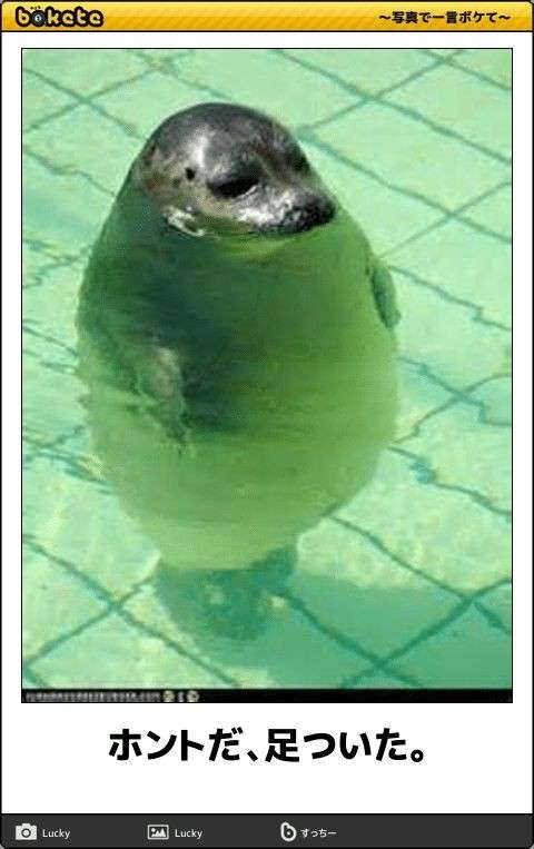心の声が聞こえそうな画像を貼るトピ