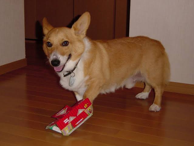 心の声が聞こえそうな画像を貼るトピ