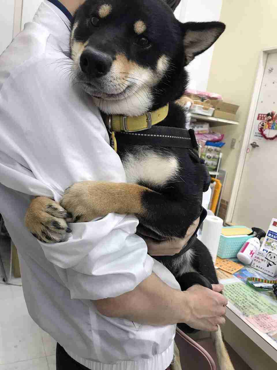 心の声が聞こえそうな画像を貼るトピ