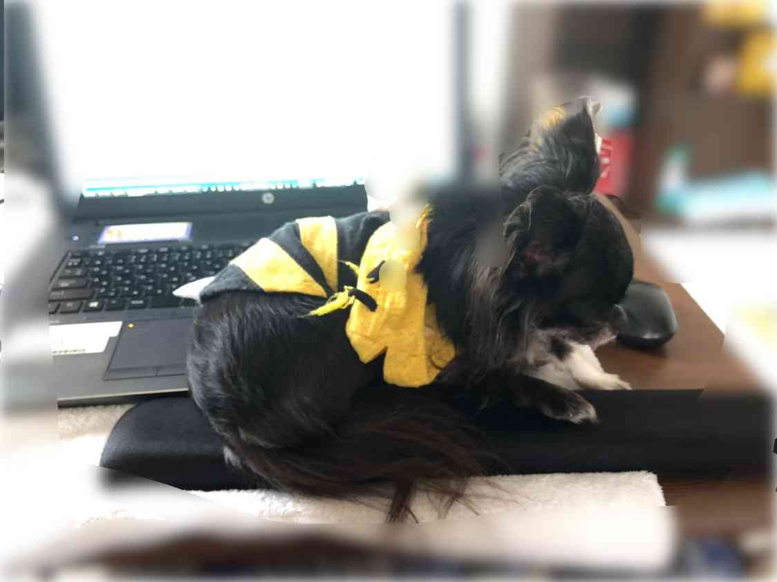 リモートワークが進まないのは“昭和的上司”のせい？　「みんな近くにいて仕事しないと駄目だ」