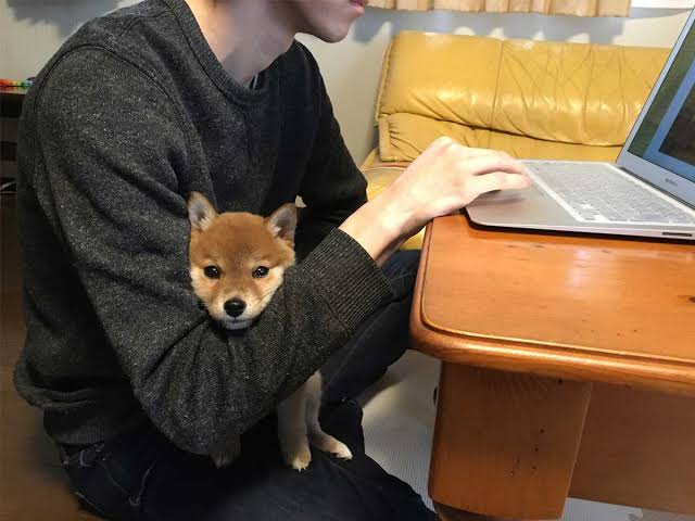 リモートワークが進まないのは“昭和的上司”のせい？　「みんな近くにいて仕事しないと駄目だ」