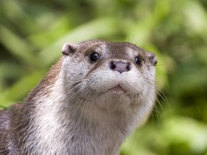 東京都で新たに226人の感染を確認