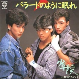 昭和のアイドル画像をひたすら貼っていくトピ