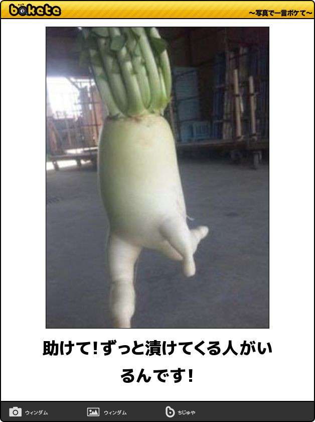 夢中でコメントしちゃうトピありますか?