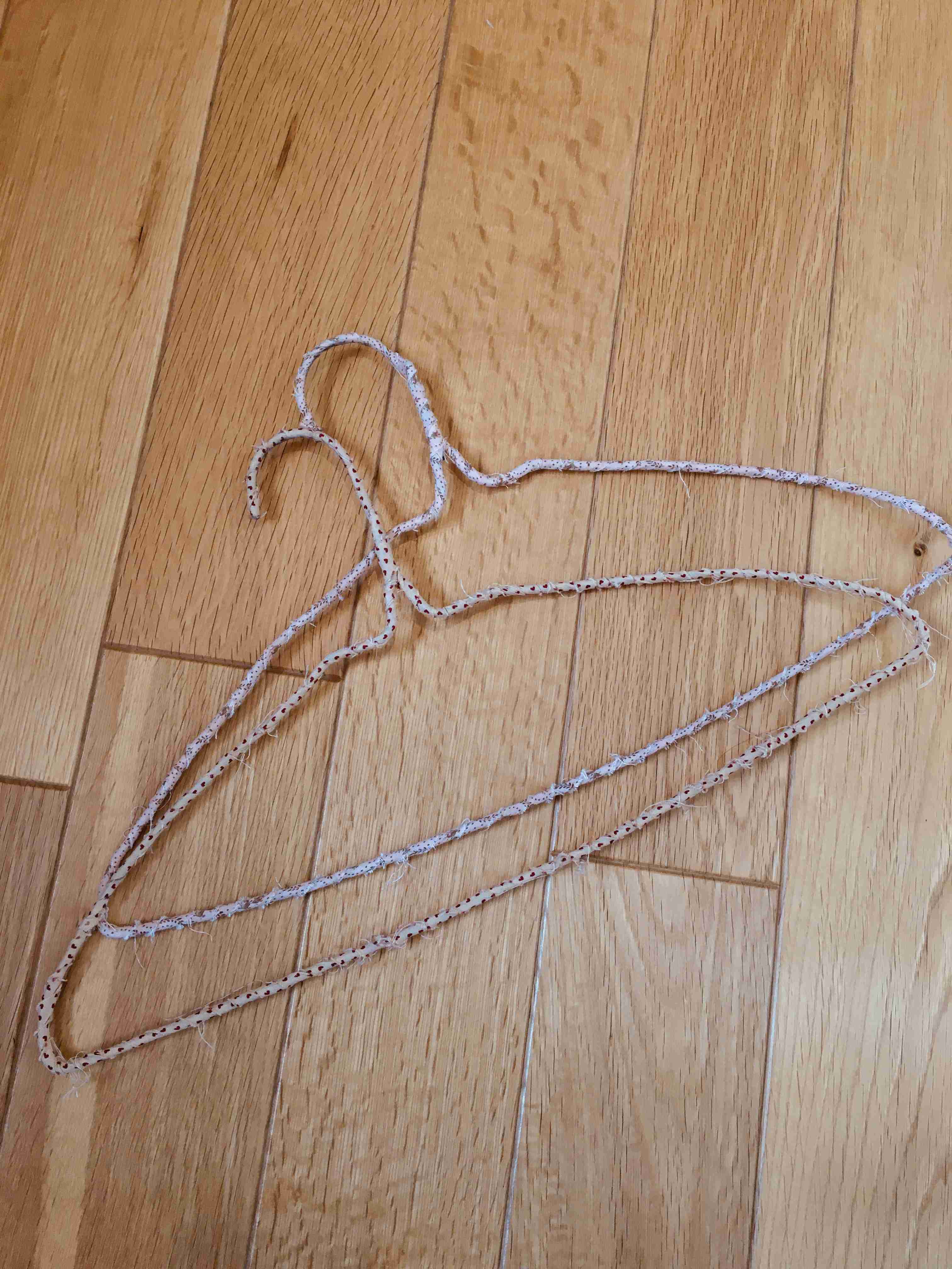 マニアックな趣味