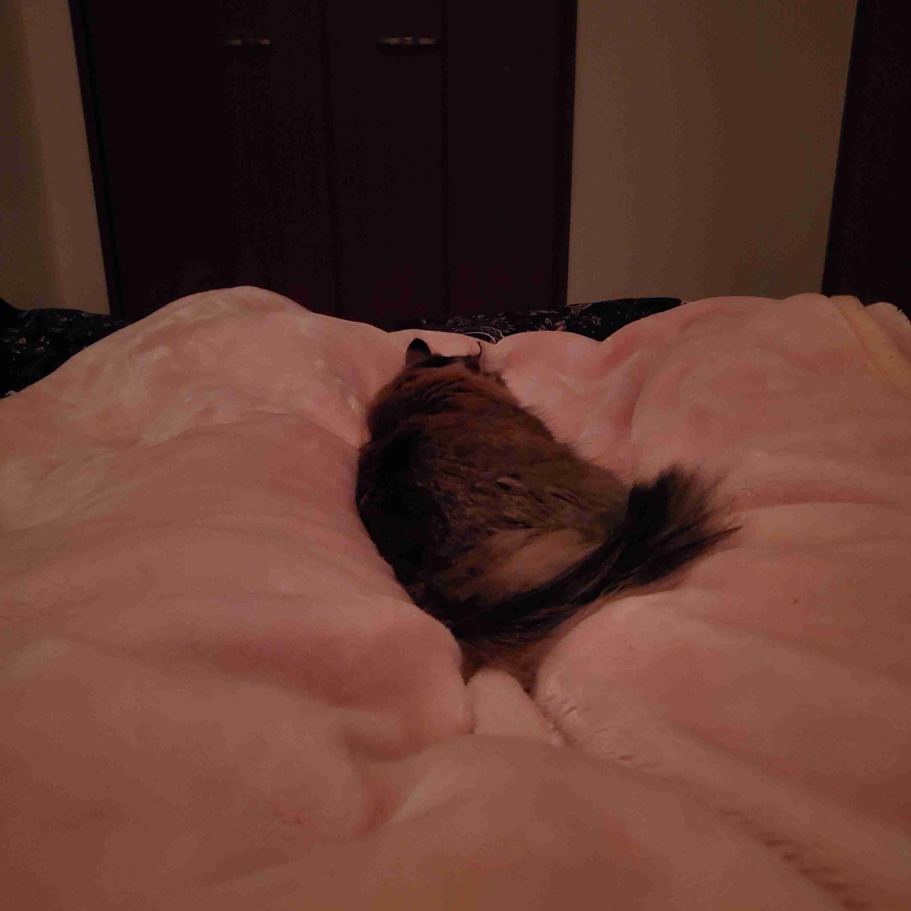 体にかける毛布を重くすると不眠症が改善するかもしれない