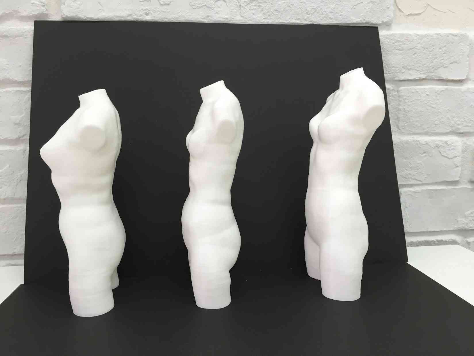 骨格が分かりやすい画像見せて!