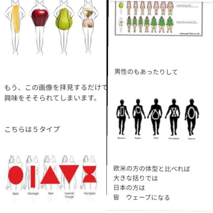 骨格が分かりやすい画像見せて！