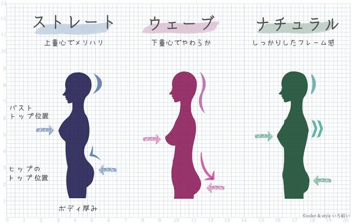 骨格が分かりやすい画像見せて!