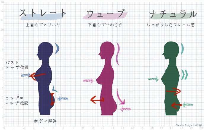 骨格が分かりやすい画像見せて!