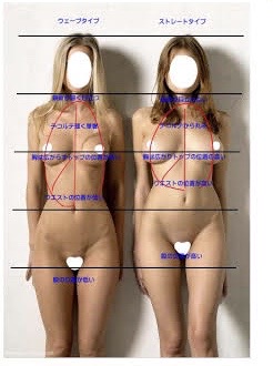 骨格が分かりやすい画像見せて！