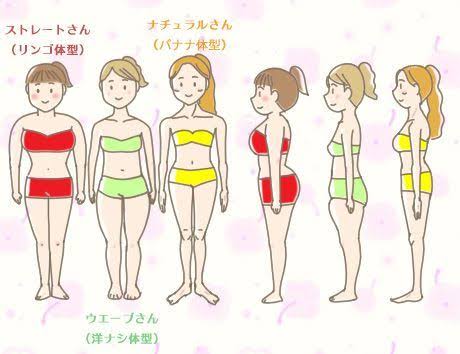 骨格が分かりやすい画像見せて!