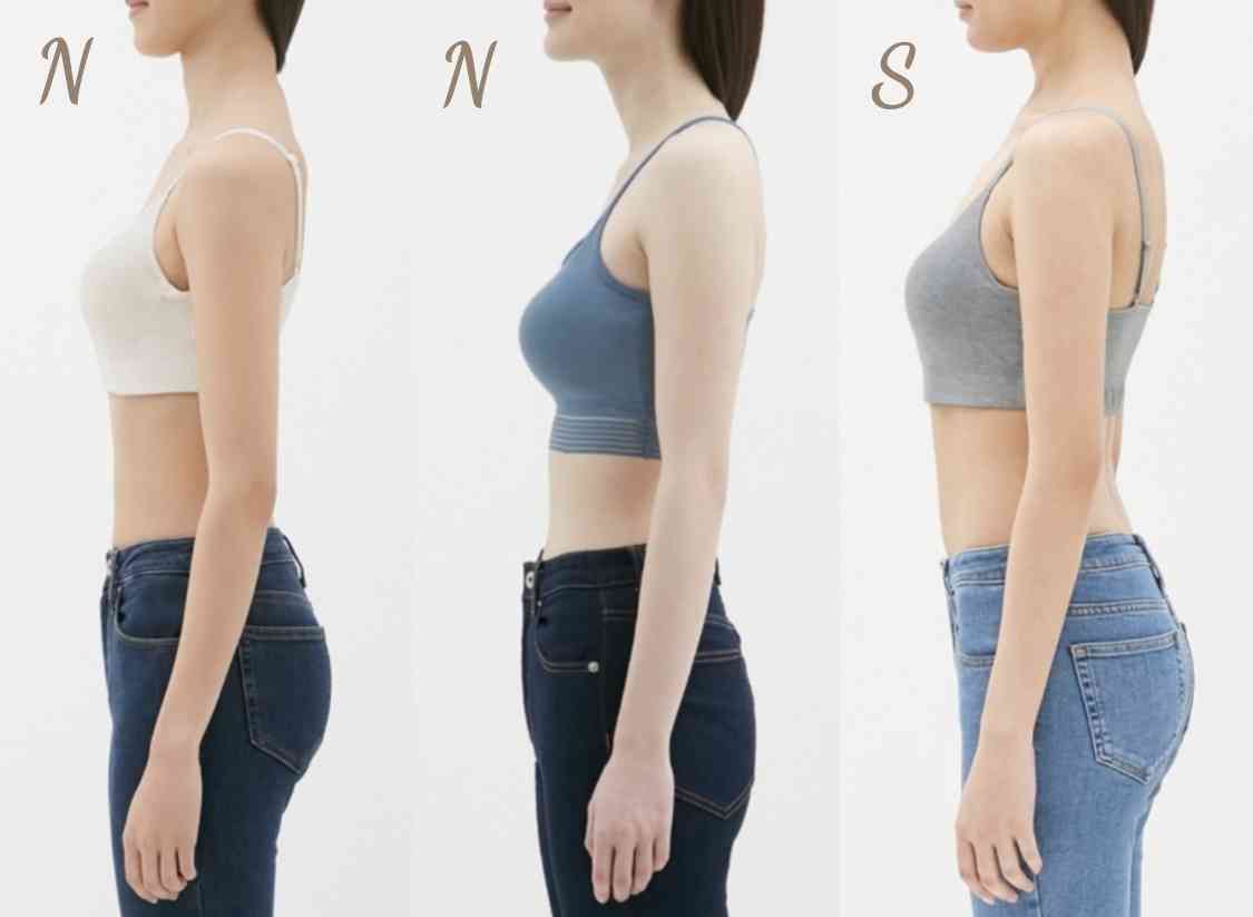 骨格が分かりやすい画像見せて！