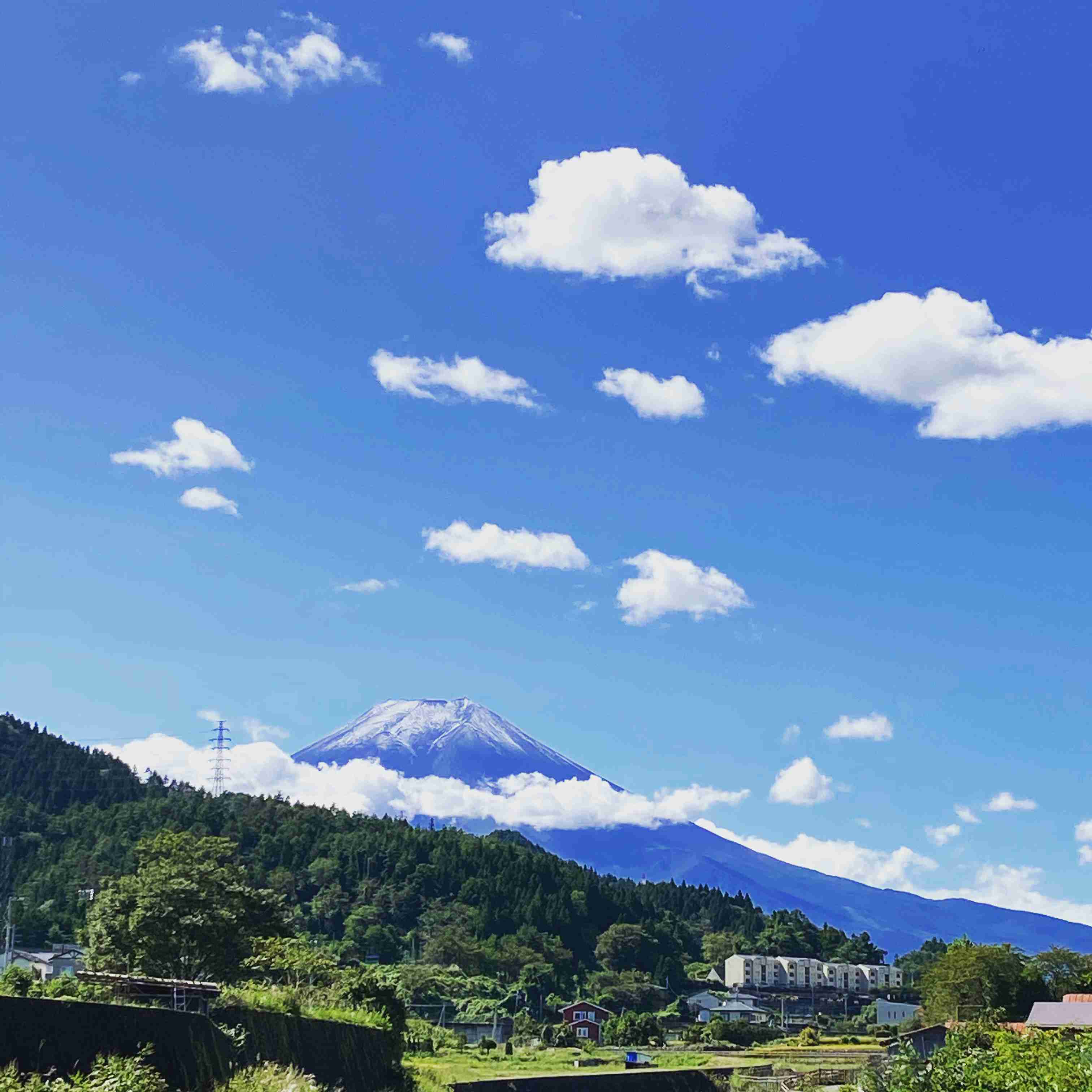 頂上真っ白 富士山が初冠雪 昨年より24日早く観測