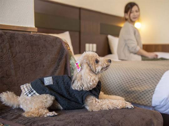愛犬と旅館やホテルに泊まった事のある方