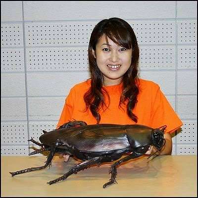 こんなもん誰が買うねん！って商品画像を貼るトピ part2