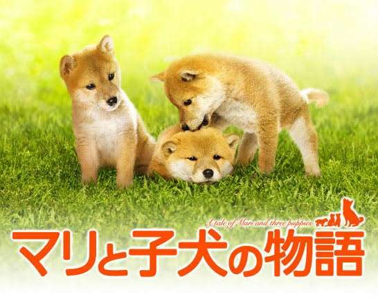 好きな映画のワンシーンを貼るトピ