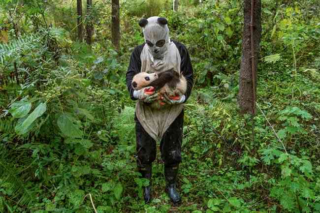 人間と動物のツーショット
