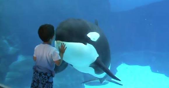 人間と動物のツーショット