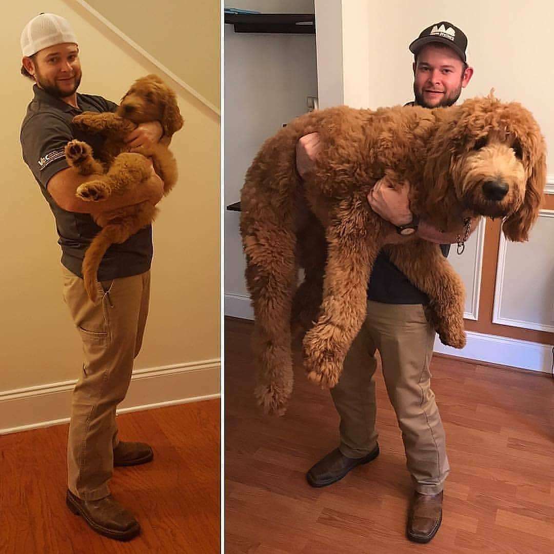 人間と動物のツーショット