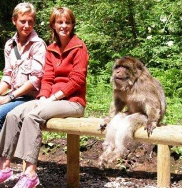 人間と動物のツーショット