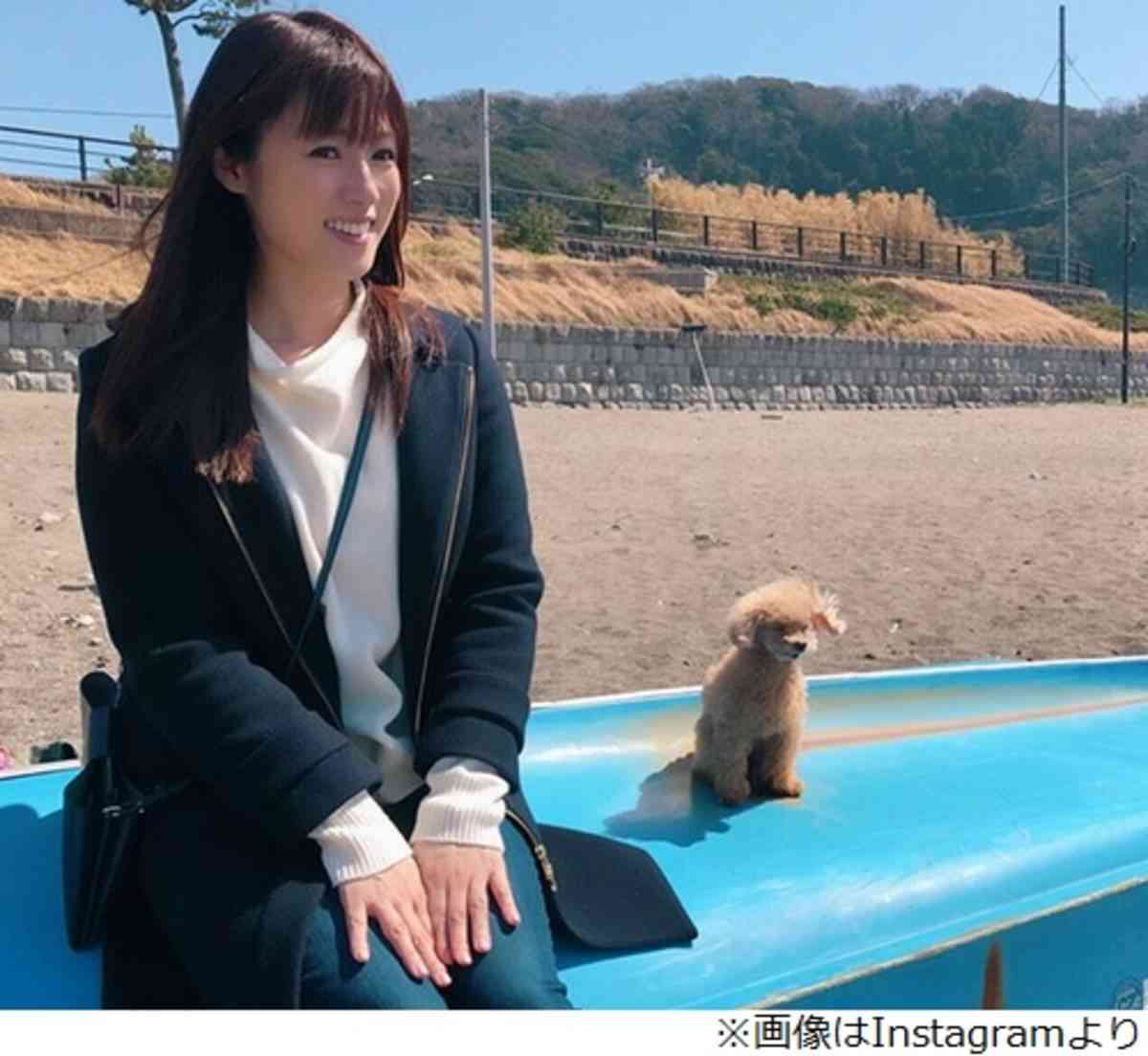 人間と動物のツーショット