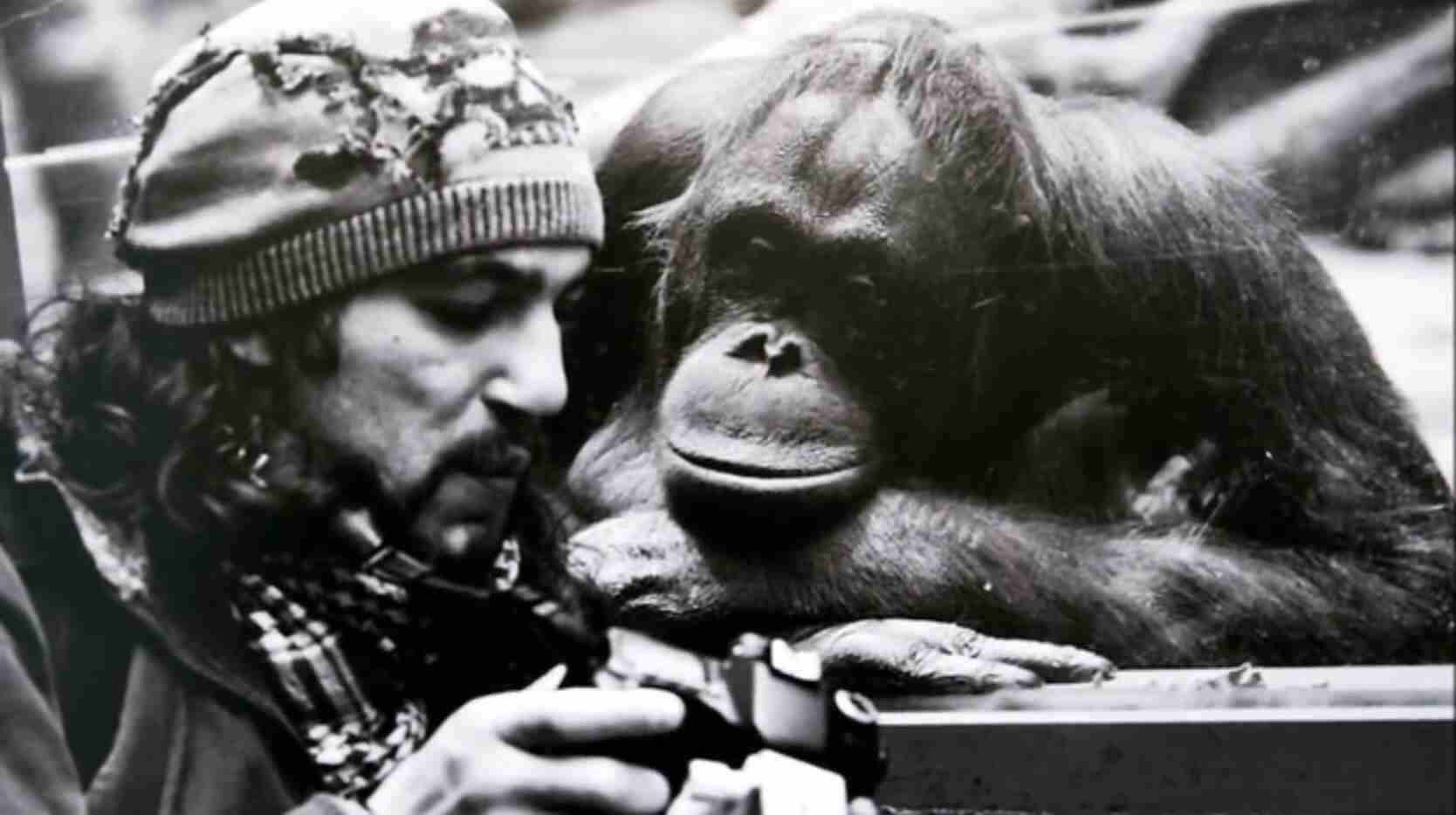 人間と動物のツーショット