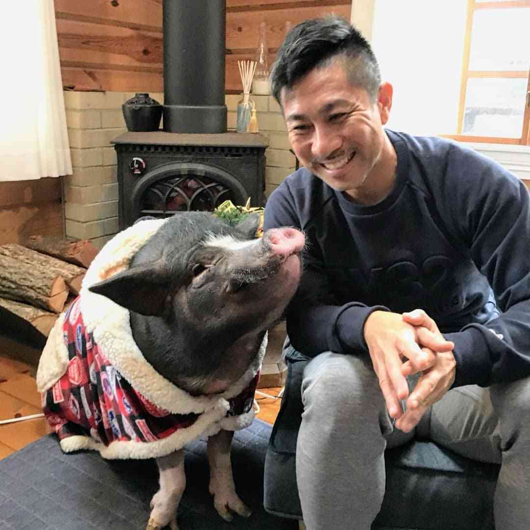 人間と動物のツーショット