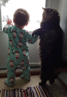 人間と動物のツーショット