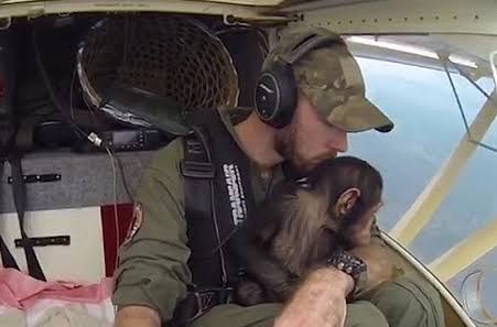 人間と動物のツーショット